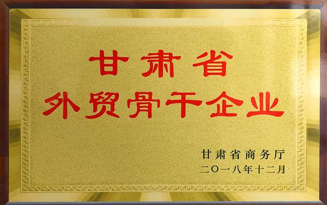 甘肃省外贸骨干企业